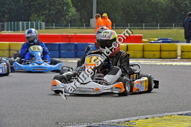 DSC_ (1275).jpg